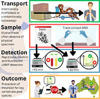 Four-part diagram illustrating the process of invasive species prevention; Transport, Sample, Detection and Outcome.