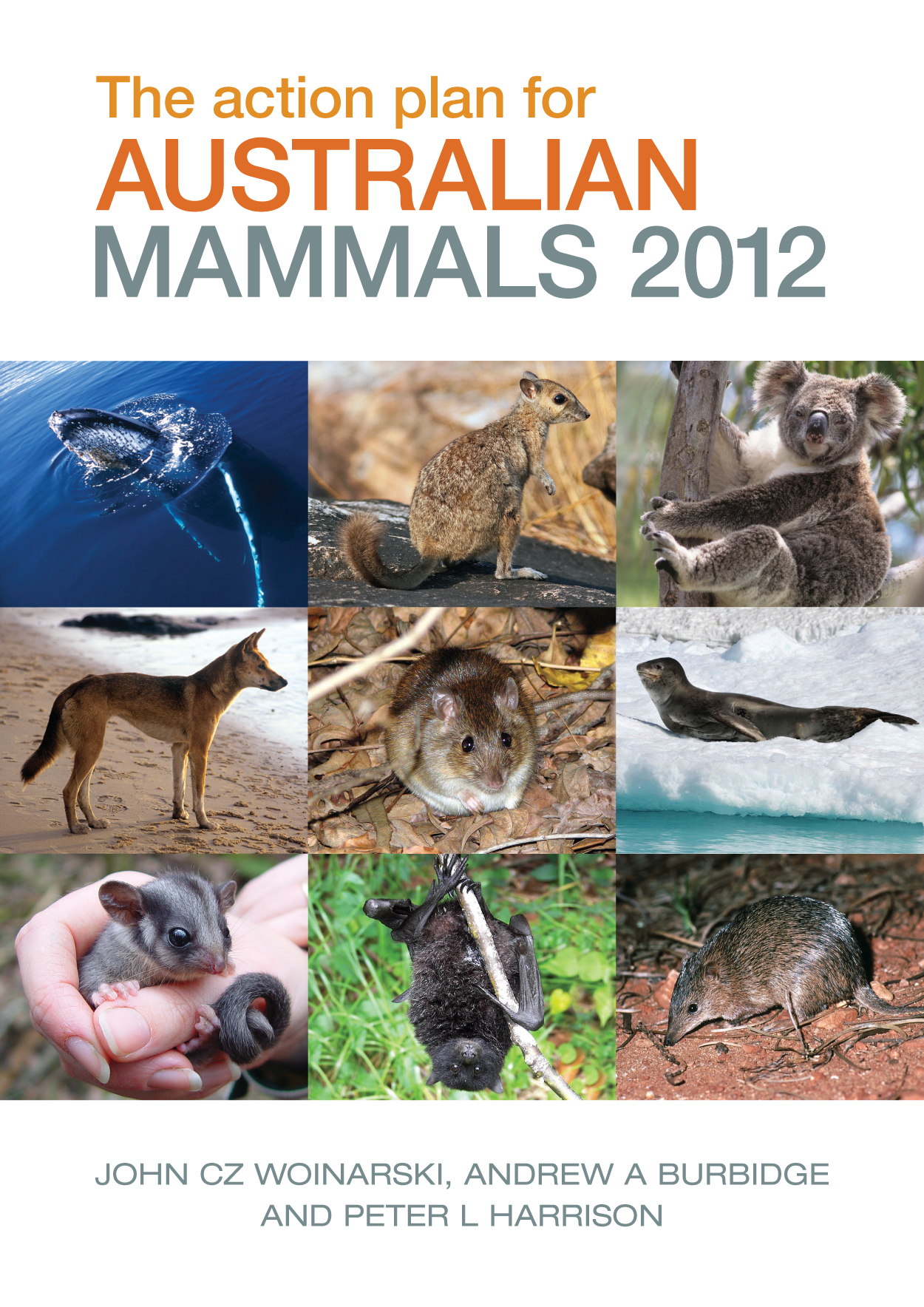 australian mammals