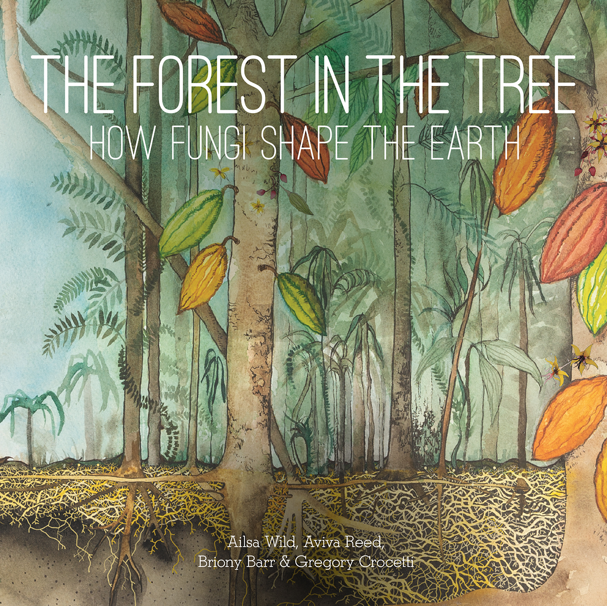 The Forest In The Tree Ailsa Wild Aviva Reed Briony Barr Gregory Crocetti