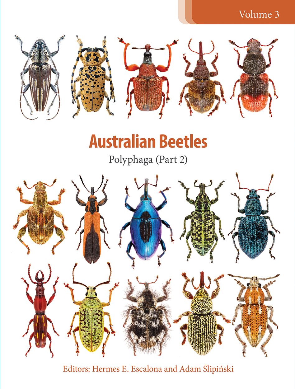 Cover of 'Australian Beetles Volume 3', featuring 15 beetles of varying colours and patterns in rows on a white background.