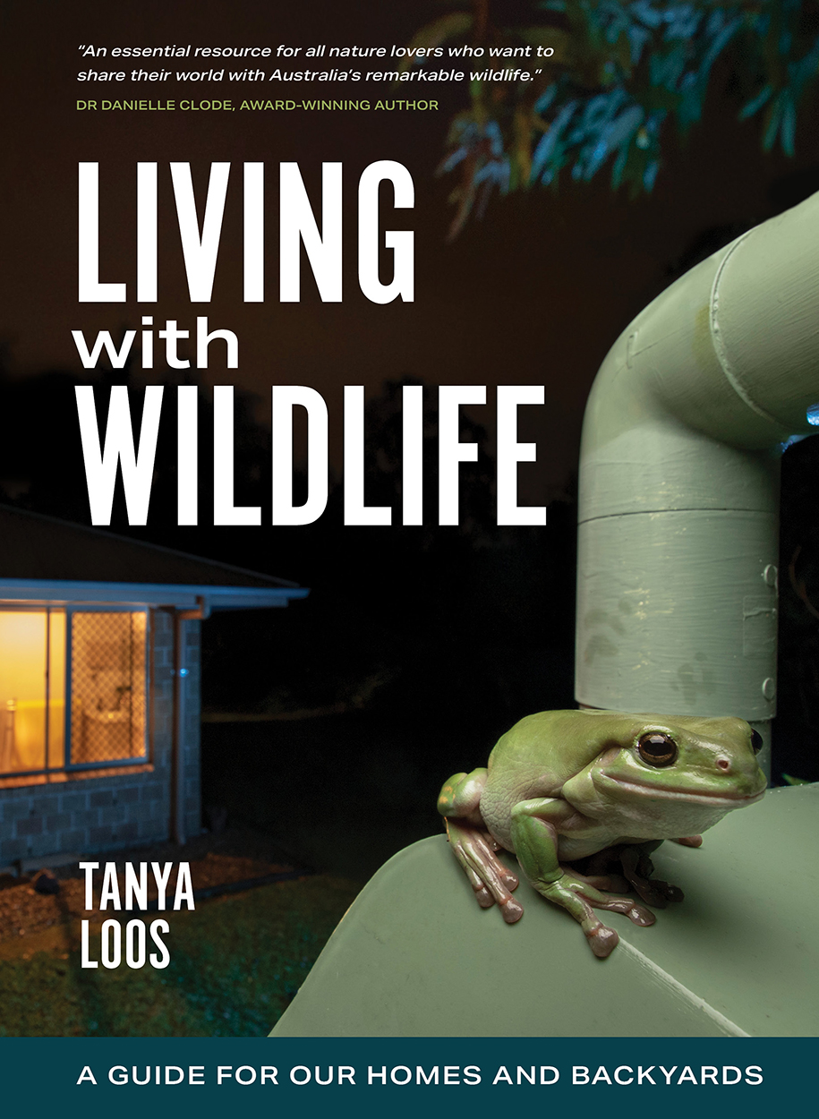 Cover of 'Living with Wildlife', featuring a green tree frog perched on top of a water tank in a suburban backyard.