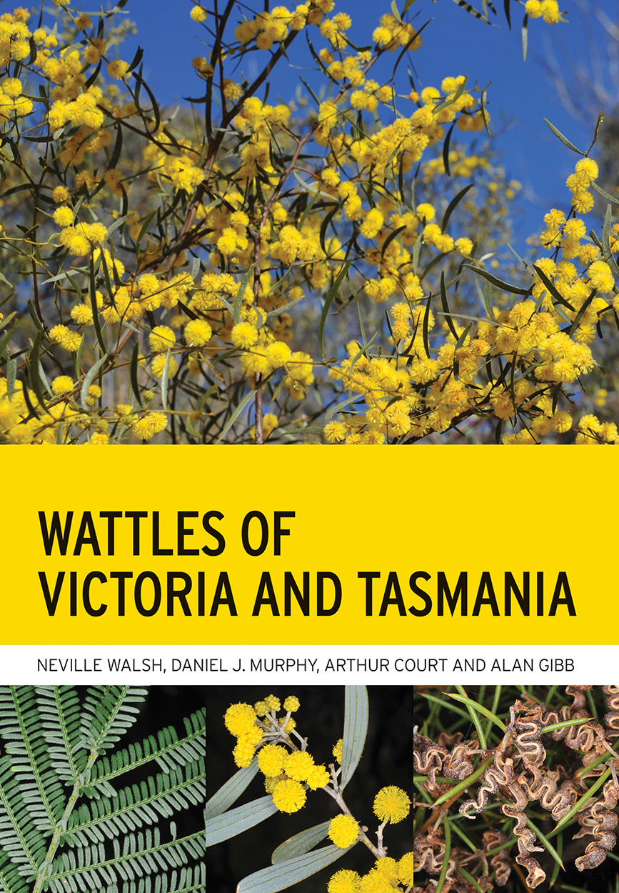 Cover of 'Wattles of Victoria and Tasmania', featuring photos of iconic yellow wattle flowers, as well as the leaves and seed pods of different specie