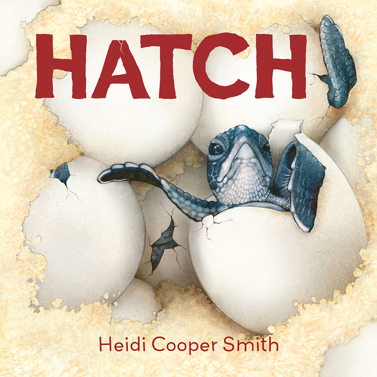 Cover of 'Hatch', featuring an illustration of a baby sea turtle hatching from its egg.