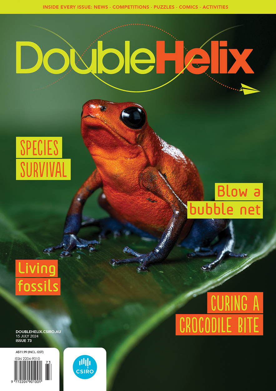 Cover of 'Double Helix' magazine issue 72 showing an orange and blue frog on a green leaf.