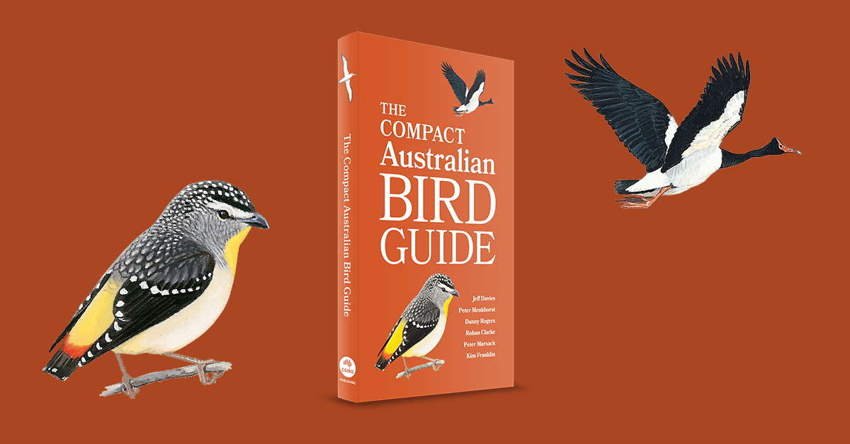 The Compact Australian Bird Guide , Jeff Davies, Peter Menkhorst, Danny ...