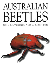 The cover image of Australian Beetles, featuring a large red beetle against a plain white background.