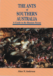 The cover image of The Ants of Southern Australian, featuring ants walking
