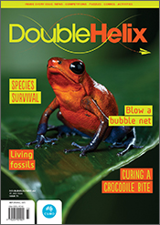 Cover of 'Double Helix' magazine issue 72 showing an orange and blue frog