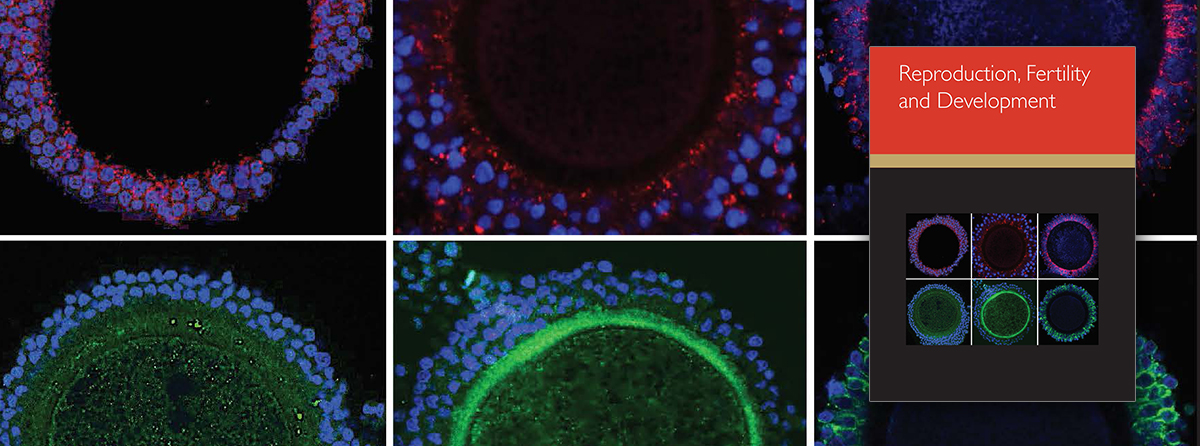 Reproductive biology in vertebrate animals, including humans, livestock and wildlife