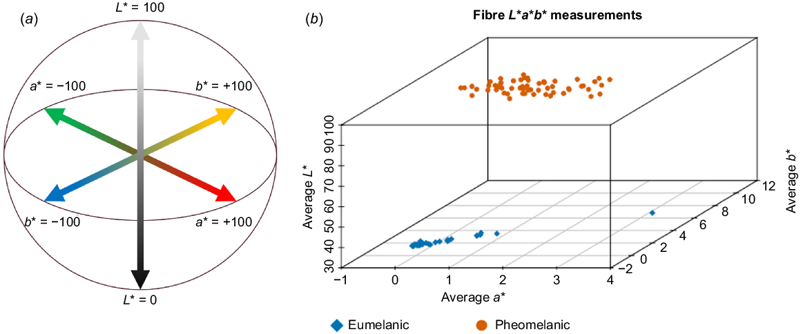 The six point coat pheomelanin intensity scale. A. Photos of six