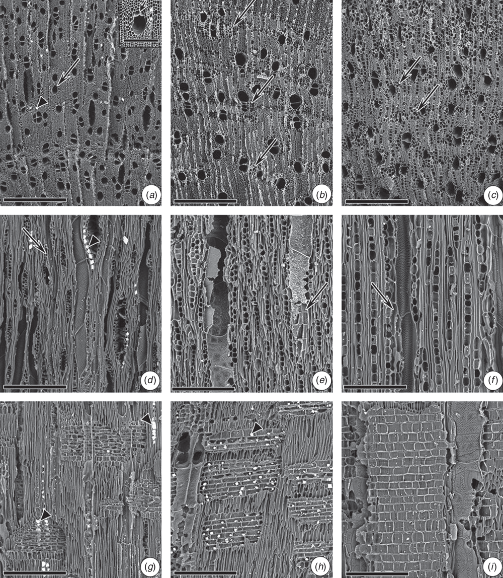 Csiro Publishing Australian Journal Of Botany - 