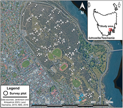 A photograph showing distribution of the studied plots in urban reserve on the Queens Domain.