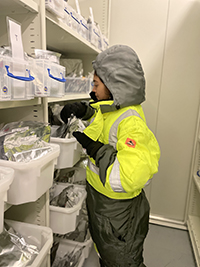 Sharalene Balasupramaniyam in the seed bank at Kings Park (Western Australia).