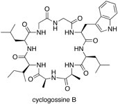 Graphical Abstract Image