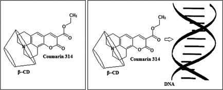 Graphical Abstract Image