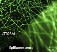 Graphical Abstract Image