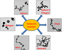 Graphical Abstract Image