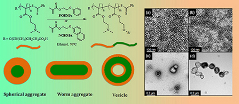 Graphical Abstract Image