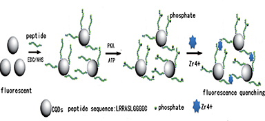 Graphical Abstract Image