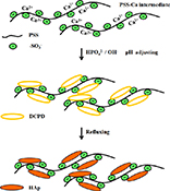 Graphical Abstract Image