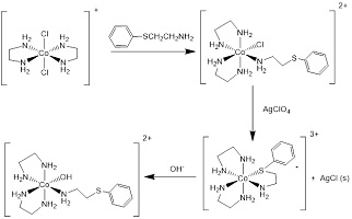 Schematic showing the synthesis and base hydrolysis of cobalt(III) complexes coordinated by substituted phenylthioether ligands.