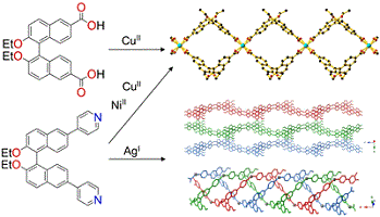 Schematic depicting the synthesis and structures of four 1-D chain coordination polymers containing bent 1,1′-binaphthyl ligands and NiII, CuII or AgI.