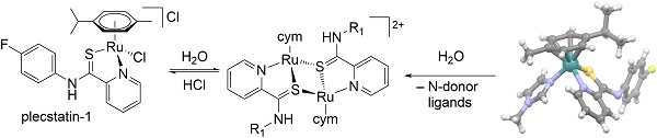 Schematic showing dimerisation occurs upon replacing the chlorido ligand in plecstatin-1 or a N-heterocycle in analogous complexes.