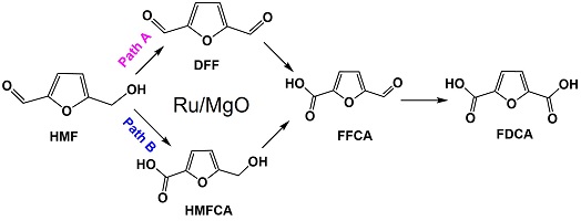 Competing synthetic pathways for formation of 2,5-furandicarboxylic acid from 5-hydroxymethylfurfural with a Ru/MgO catalyst.