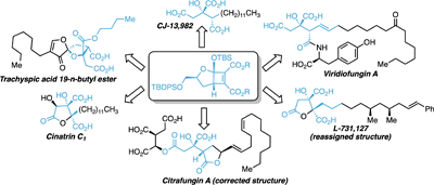 Schematics of various alkyl citrate natural products.