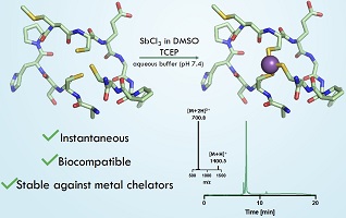 Schematic of the formation of SbIII-centred bicyclic peptides.