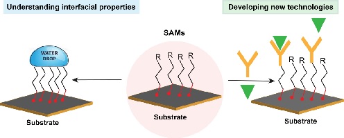 Schematics showing interactions of self-assembled monolayers on substrates with substances from water to antibodies