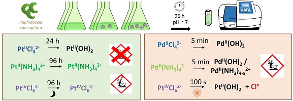 Diagram indicating the determined toxicity of the Pd and Pt complexes studied towards phytoplankton.