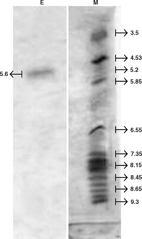 Csiro Publishing Functional Plant Biology