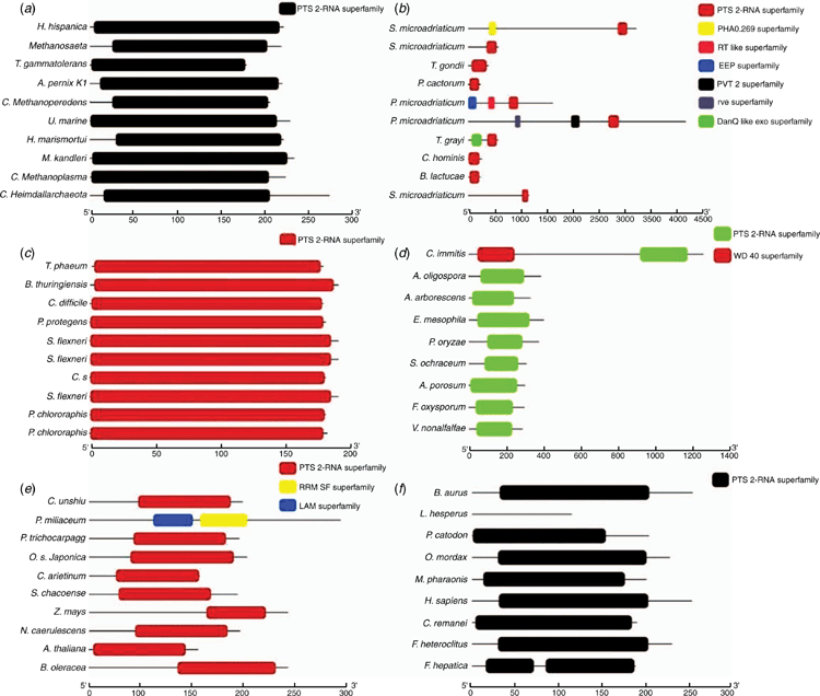 Csiro Publishing Functional Plant Biology