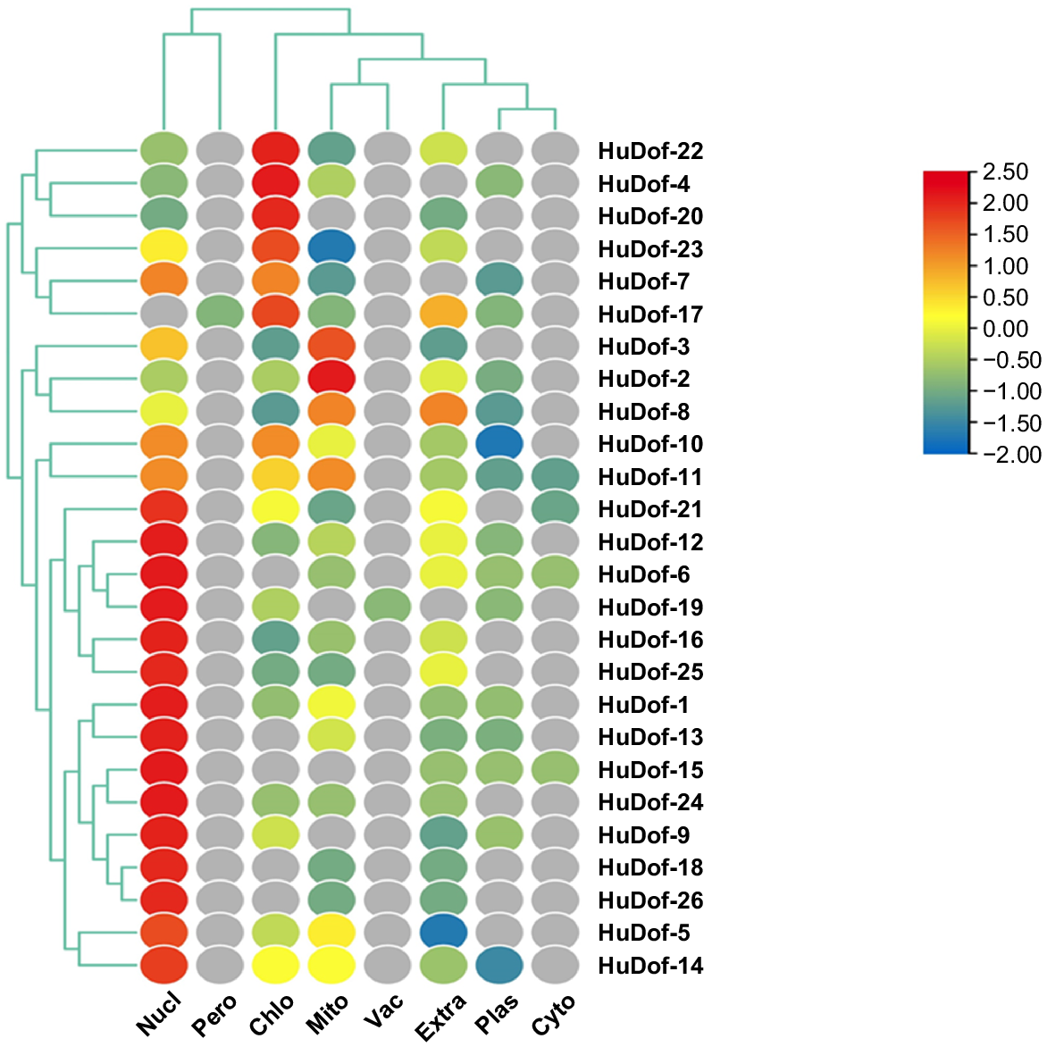 FP23269_F10.gif