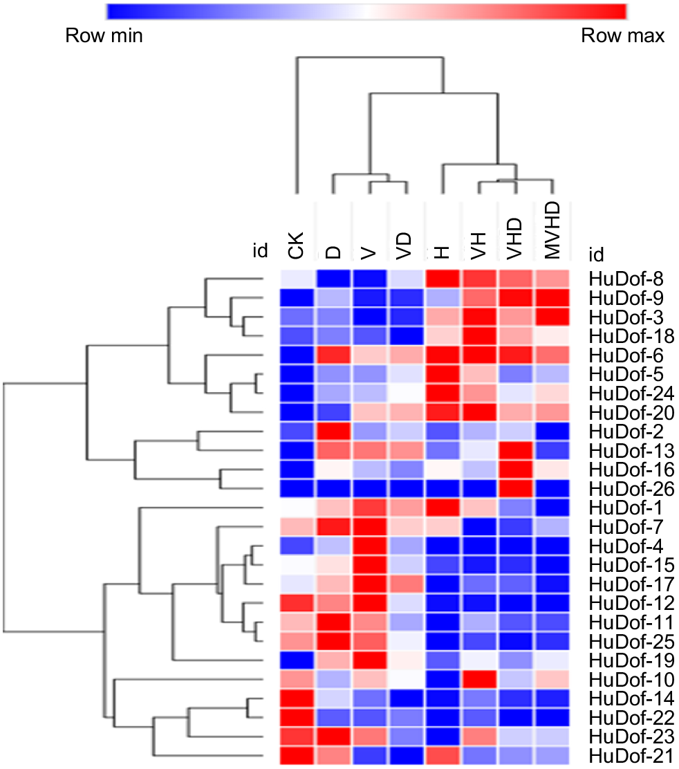 FP23269_F16.gif