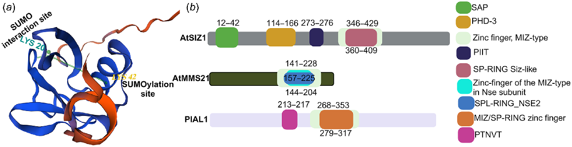 FP24032_F1.gif