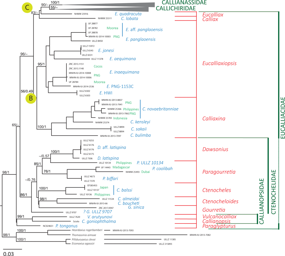 Csiro Publishing Invertebrate Systematics