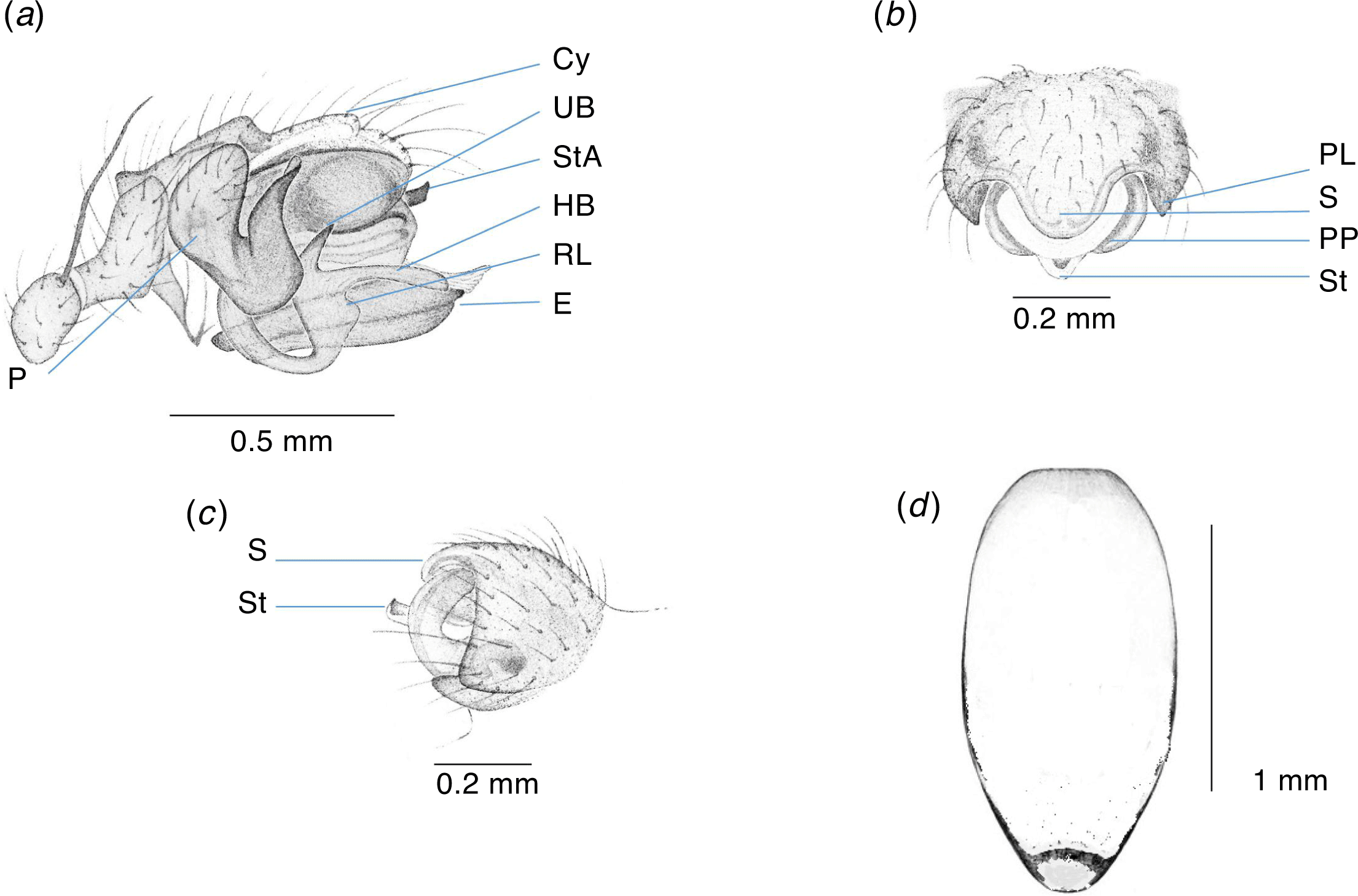 CSIRO PUBLISHING | Invertebrate Systematics