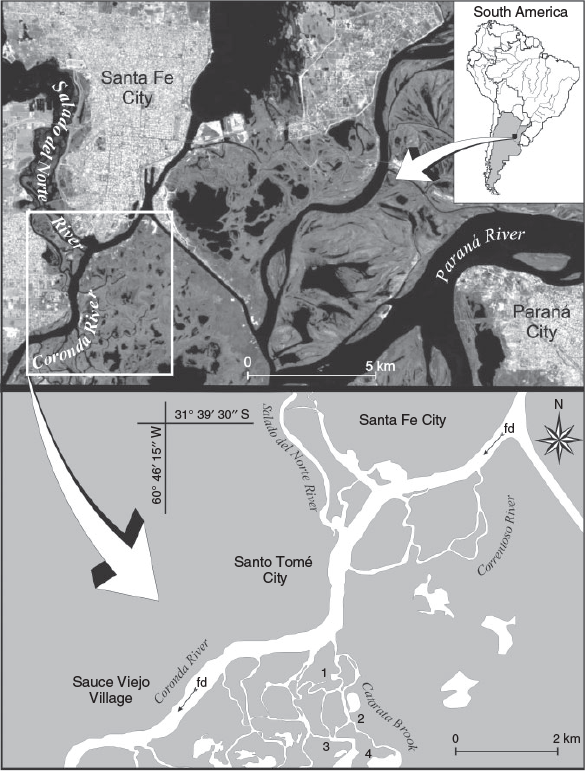 Study area and sampling lakes in the Upper Paraná River Floodplain