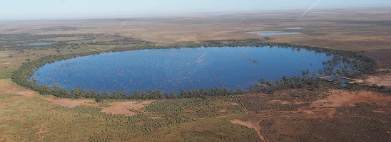 A photograph of a lake in the Booligal area within the Lachlan catchment where olive perchlet was found.