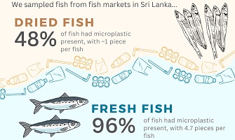 A schematic diagram showing the occurrence of microplastics in fish in Sri Lanka.