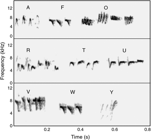 EVOLUTION OF BIRD SONG AFFECTS SIGNAL EFFICACY: AN EXPERIMENTAL TEST USING  HISTORICAL AND CURRENT SIGNALS