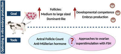 llustration of goals and tools involved in optimizing in vitro embryo production in cattle.