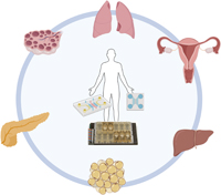 Illustration of how organs-on-a-chip technology and can be applied in reproductive health research.