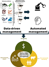 Illustration of dairy farm sustainability goals achievable through data-driven and automated management.