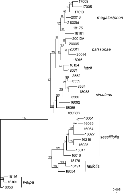 SB24021_F3.gif