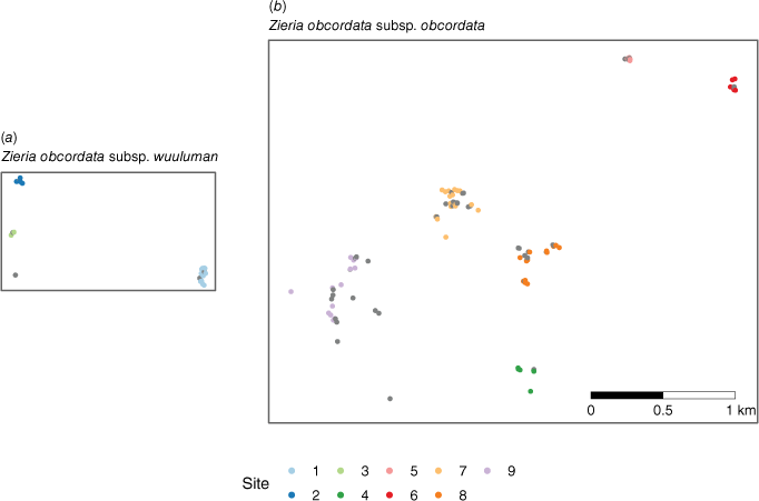 SB24034_F1.gif