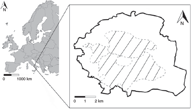 Csiro Publishing International Journal Of Wildland Fire