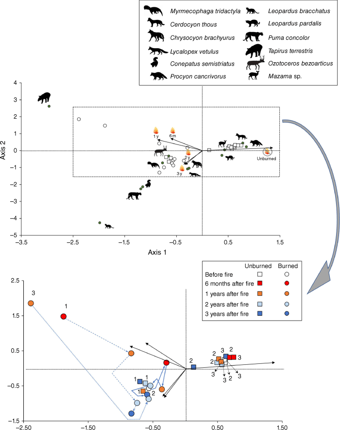 Frontiers  Fire Occurrence Mediates Small-Mammal Seed Removal of Native  Tree Species in a Neotropical Savanna